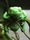 Diegone Ebbà